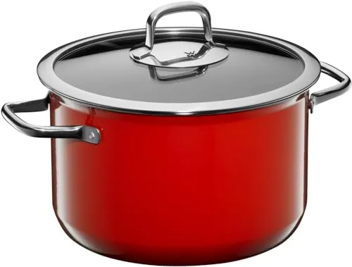 WMF Fusiontec Compact Kochtopf 24 cm - Hochwertiger Fleischtopf mit Glasdeckel - Kochtöpfe aus FUSIONTEC High-Tech Keramik, kratzfest und für alle Herdarten geeignet, inklusive Induktion. Energieeffiziente Wärmespeicherung und hitzebeständig bis 250°C.