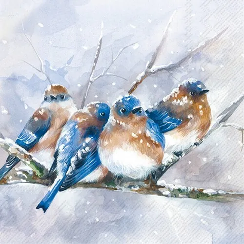 Servietten Cuddly Birdies - Verschneite Vögel auf Ast 33x33cm 20
