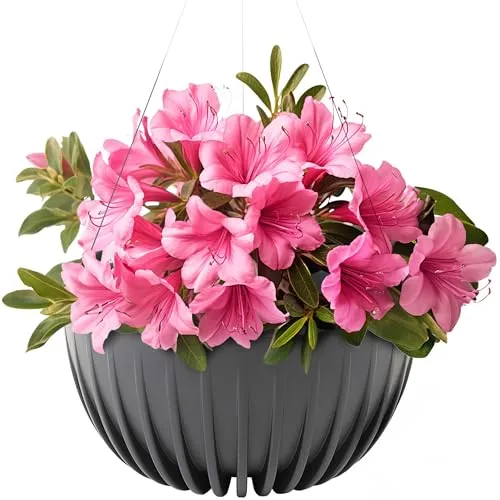 KONZEPT Blumenampel hängend außen und innen in Antrazit, Blumentopf 30cm Durchmesser, Hängetopf für Pflanzen aus Kunststoff