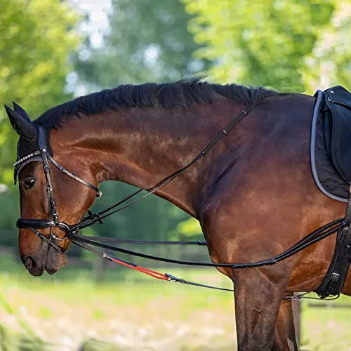 Waldhausen W-TRAINREIN Leder-Dreieckszügel - Zügel für Reitzubehör und Longierzubehör, fördert das Biegen und Gymnastizieren Ihres Pferdes mit flexibler, maulfreundlicher Umlenkrolle für sanftes Arbeiten.