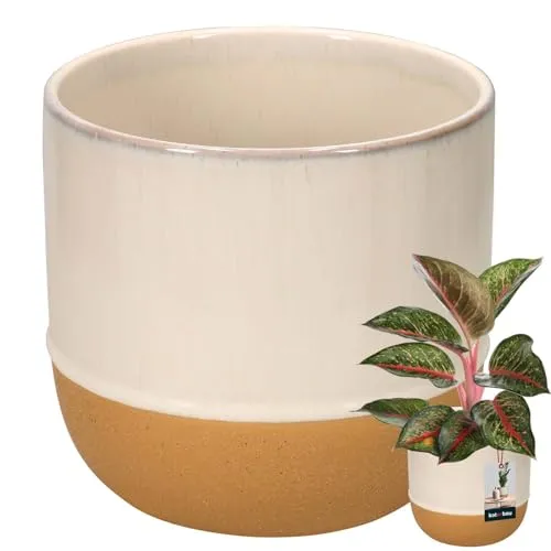 KOTARBAU® Blumentopf Beige Creme Orange Keramik Höhe 16 cm ⌀ 17 cm Übertopf für Wohnzimmer Handmade Pflanzenübertopf für Garten & Balkon Vintage Pflanzkübel Beige