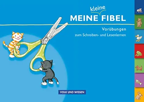 Meine Fibel - Zu allen Ausgaben: Meine kleine Fibel - Vorübungen zum Schreiben- und Lesenlernen