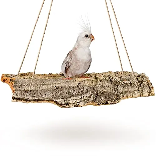 Kork-Schaukel XXL 50x20 cm für Vögel von Kork-Deko