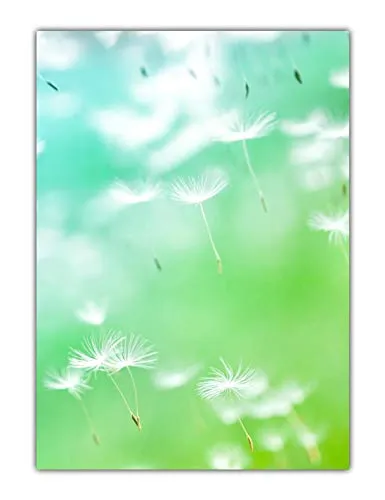 Blumen Motivpapier Briefpapier Pusteblumen im Wind (MPA-5201, DIN A4, 25 Blatt)
