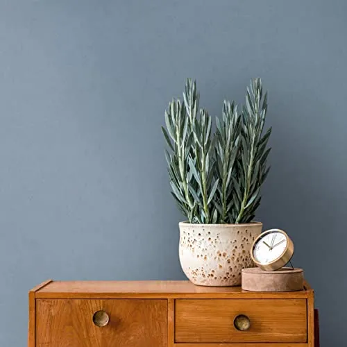 A.S. Création Unitapete Blau - Architects Paper Arcade 393314 - Vliestapete in Premium-Qualität, ideal für jedes Zimmer, einfach ansatzfrei zu verarbeiten und Made in Germany für höchste Ansprüche.