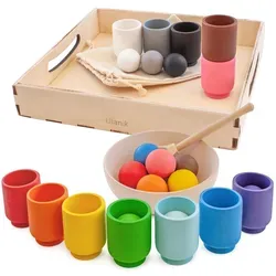 Montessori Holzspielzeug Balls in cups 3 cm - Motorikspielzeug für die Entwicklung von visueller Konzentration und feinmotorischen Fähigkeiten. Ideal für Kinder, fördert das Lernen von Farben und Formen mit nachhaltigem Lindenholz.