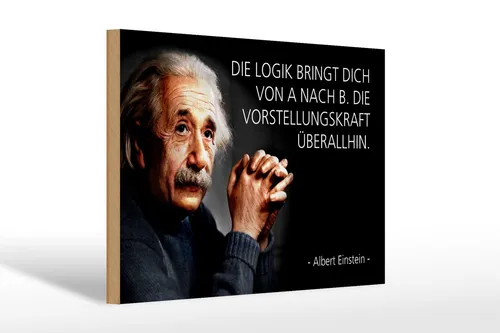 Holzschild Zitat 20x30 cm Einstein Logik Vorstellungskraft Deko Schild