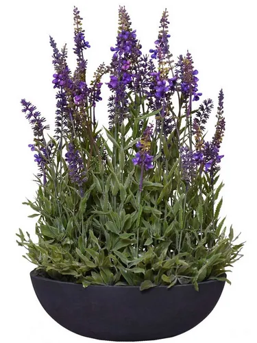 VIVANNO Kunstpflanze LAVANDULA - Grüner Blickfang - Kunstpflanze aus Kunststoff, ideal für den Innenbereich. Mit einer Höhe von 48 cm bringt sie frisches Grün in jedes Zuhause.