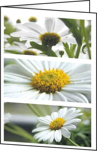 SIGEL 25 Grußkarten Romance DIN A6