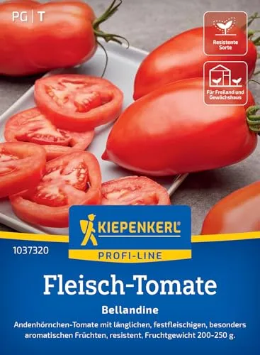 Kiepenkerl Profi-Line Fleisch-Tomatensamen Bellandine 1037320 - Andenhörnchen Tomate - festfleischig - länglich - Saatgut, Samen Gemüse, Gemüsepflanzen