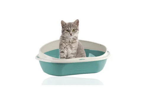 Katzentoiletten von Rohrschneider