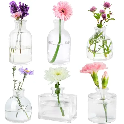 Otauoaea Kleine Glasvasen, 6er Set Mini Vasen für Tischdeko,Klar Flower Vase Klein Blumenvasen Modern Blumenvase Glas Vasen Set für Hochzeit Party Esstisch Tafelaufsatz Tischvase Deko