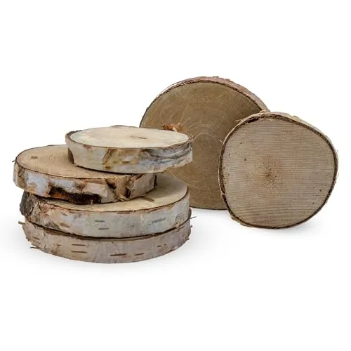 Birkenholzscheibe mit Rinde klein Echtholz 7 cm - 15-17 Stück - Birken Baumscheibe zum Basteln und Dekorieren - DIY Holzscheibe Birkenscheibe Naturholz Scheibe Hölzerne Hochzeit Tischschilder