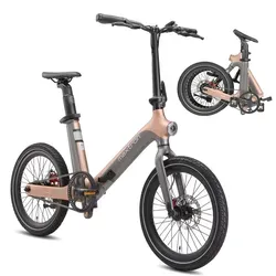 E-Bike Cityrad Smart 30 von Vankel