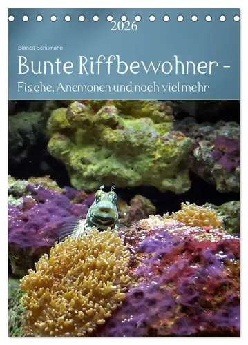 Bianca Schumann | Bunte Riffbewohner - Fische, Anemonen und noch viel mehr...