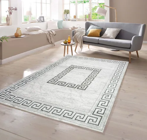 TeppichHome24 Moderner Teppich mit Glitzergarn in Grau - Rechteckiger Teppich mit Bordüre, schmutzabweisend und pflegeleicht. Ideal für Allergiker und perfekt für jeden Raum, auch mit Fußbodenheizung.
