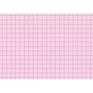 Brunnen Karteikarten 102270220, A7, kariert, rot, 100 Stück von BRUNNEN