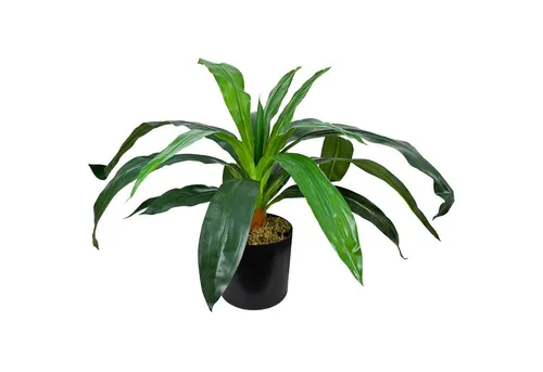 Künstliche Zimmerpflanze Drachenbaum Kunstpflanze Künstliche Pflanze mit Topf 45cm Dekoration Drachenbaum, Decovego, Höhe 45 cm