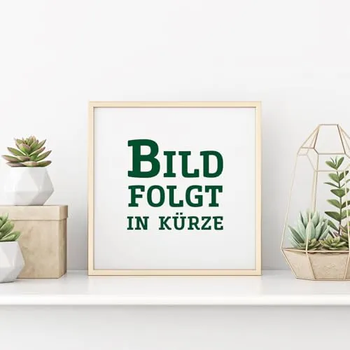 Schmetterlingsflieder 'Bicolor', blau-tieforange, Höhe ca 30-60cm, Topf 5 Liter