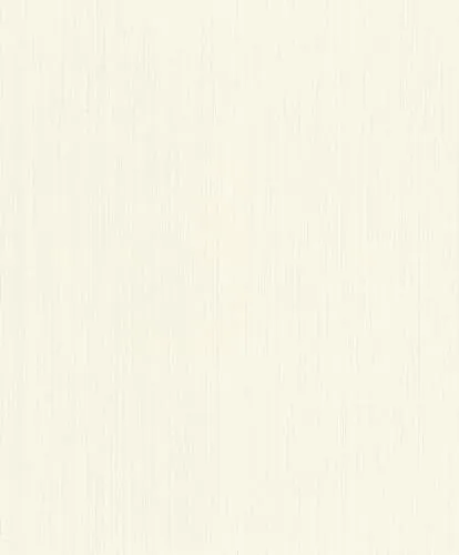 Tapeten Weiß von Rasch