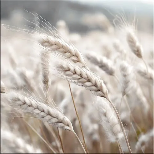 artissimo Glasbild 30x30cm - Blumen und Gräser IV - Quadratisches Premium-Glasbild 30x30 cm mit freischwebendem Look. Brillante Farben, ideal für moderne Wohnräume und vielfältige Einrichtungsstile.