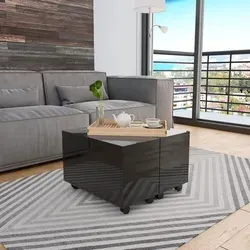 Maison Exclusive Couchtisch Hochglanz-schwarz 60x60x35 Cm