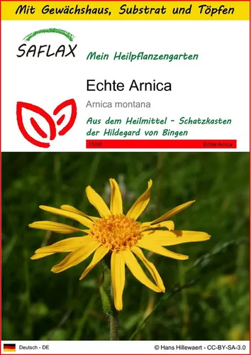SAFLAX Blumensamen SAFLAX - Anzuchtset - Echte Arnica