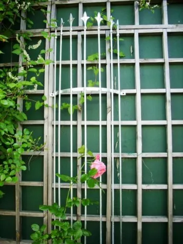 KUHEIGA Rankgitter Höhe 150cm, Verzinkt, Rosengitter Rosenhalter, Wandrankgitter