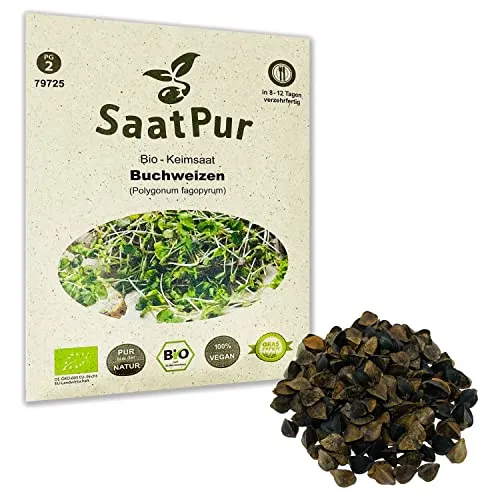 Buchweizen BIO Keimsprossen von SaatPur - Keimsaat für Buchweizen Sprossen, Microgreen - 90g