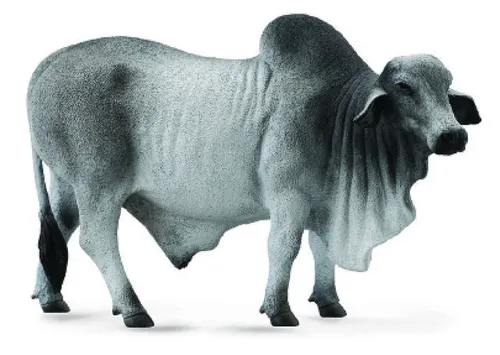 Collecta 88579 Brahman Bulle 14 cm Bauernhof