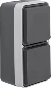 Berker 47703555 Schutzkontakt-Steckdose 2-fach mit Klappdeckel