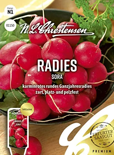 Radies Sora,karminrotes rundes Ganzjahresradies, Samen, Saatgut