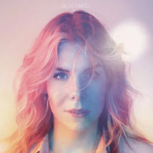 Blackbird Blackbird (Video Game)