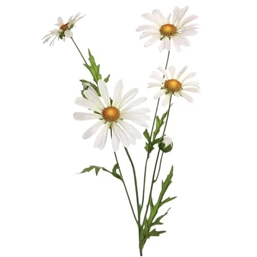 Floratexx Künstliche Margerite 60cm. Wiesenblume, Kunstblume wie echt, Dekoration, weiß Creme-Weiss