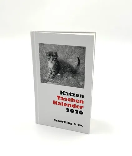 Katzen Taschenkalender 2026