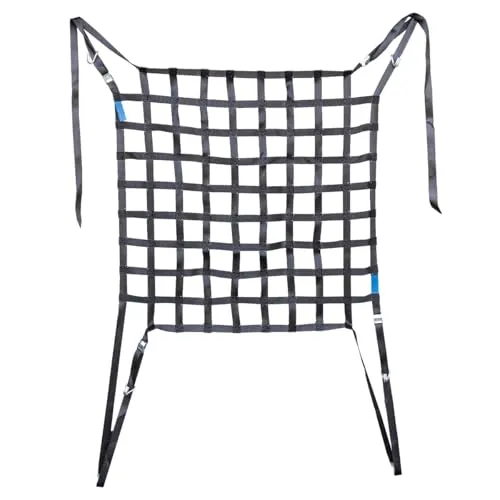 LASIPROFI PKW Ladungssicherungsnetz aus Gurtband