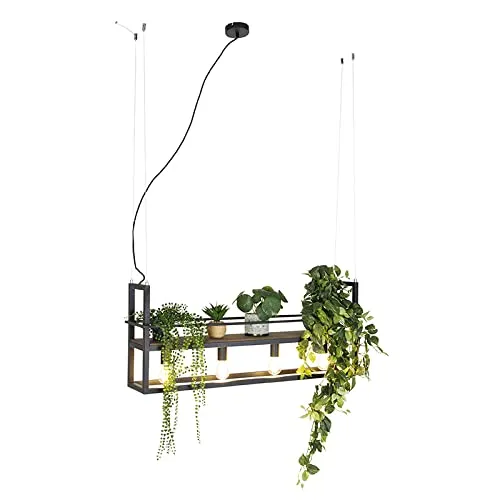 Qazqa Pendelleuchte Cage Rack, 4-flammig, E27, Braun, Industrie-Stil - Moderne Pendelleuchte mit Holzregal und vier Lichtpunkten, ideal für kreative Dekorationen in Küche oder Esszimmer.