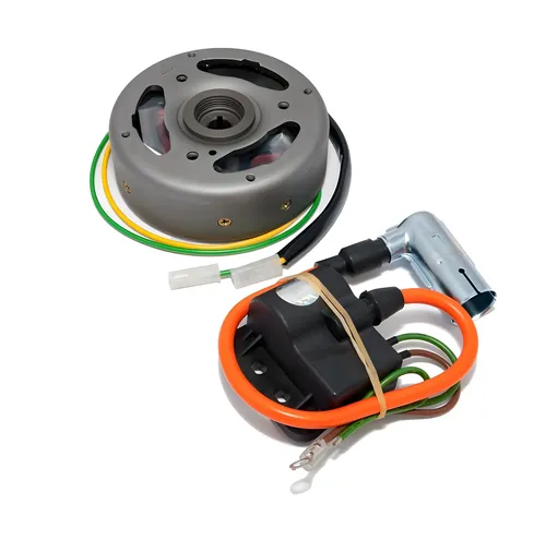 Lichtmaschine Zündung komplett Polrad für Bosch Modell für Puch Maxi 50 P S e