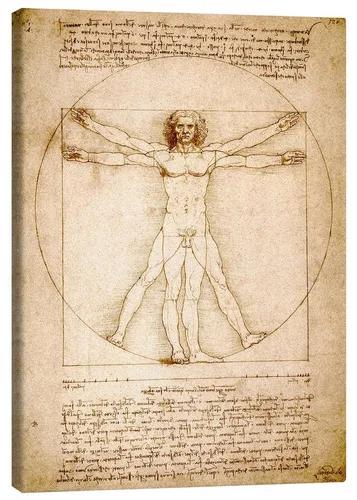 Posterlounge Wandbild Vitruvianischer Mensch, Leonardo da Vinci, erhältlich als Poster, Leinwandbild, Wandsticker oder Acrylglasbild