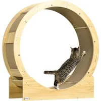 PawHut Katzenlaufrad Mehrschichtplatte, Wellpapier - Tierspielzeug, fördert den Spielinstinkt Ihrer Katze und bietet eine sichere Nutzung mit arretierbarer Bremse. Die wechselbare Kratzmatte sorgt für zusätzlichen Spielspaß und Pflege.