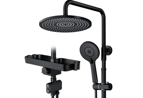 10-Zoll chromplattierter Duschkopf-Set mit Doppel-Funktion