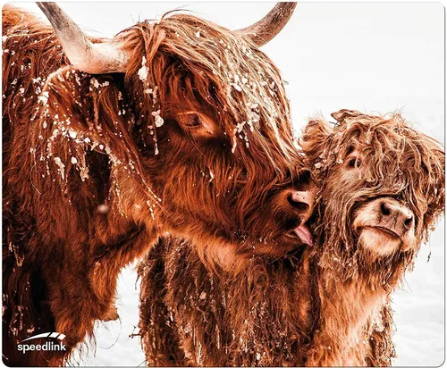 Speedlink Mousepads von Speedlink