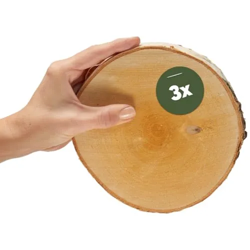 Kleine Holzscheiben 16 cm zum Holz-Deko Basteln - 3 Stk. runde EU Birkenholz Baumscheiben