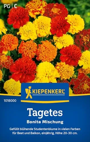 Kiepenkerl Tagetessamen Bonita Mischung 1018000 - Einjährige Blumensamen mit einer Wuchshöhe von 20 bis 30 cm und einem Inhalt für 50 Pflanzen - Saatgut