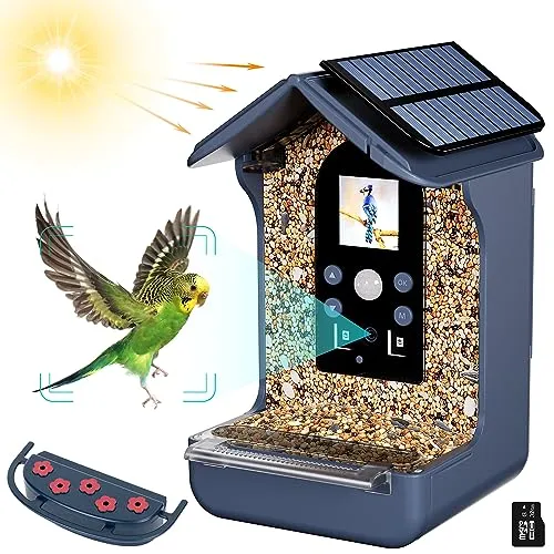 Rkdely Vogelfutterhaus, Vogelhaus Kamera mit Solares Vogelhäuschen mit 1080P HD Kamera Gartenhäuschen Automatische Video/Fotoaufnahme von Vögeln Futterstationen für Wildvögel mit 32GB SD Carte