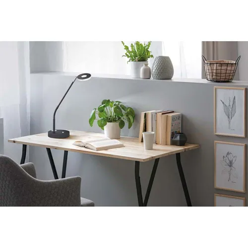 FISCHER & HONSEL LED Tischleuchte Dent - Moderne Tischleuchte mit Dimmfunktion und 3-Stufen-CCT Technologie für individuelles Licht, ideal für jeden Raum.