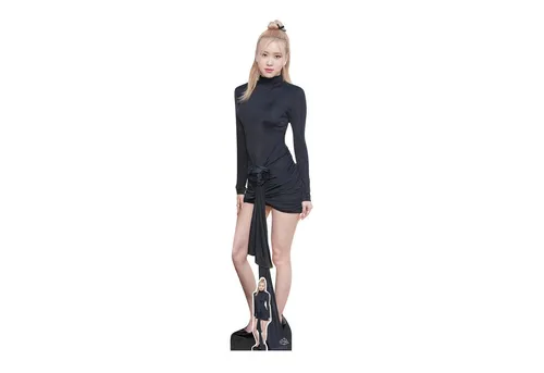 Dekofigur Rose - Pappaufsteller K-Pop - 44x175 cm