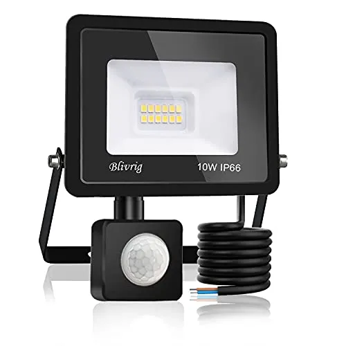 Blivrig LED Strahler mit Bewegungsmelder Außen 10W 6000K Kaltweiß 1000LM | IP66 Wasserdicht, 120° Strahl, Superhell 12 LEDs, Ideale Außenstrahler für Garten Garage Hof Hinterhof