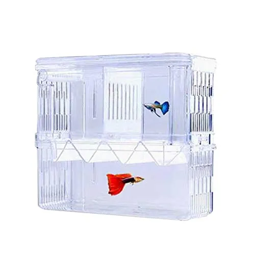 Tiberham Fischzuchtbox, Acryl, schwimmende Fischbruterei-Isolationsbox, doppellagige Brutkasten, Brutkasten, Aufzuchtfalle, Aquarium, Aquarium, Fischerziehungsbehälter, Trennwand mit Saugnäpfen, L