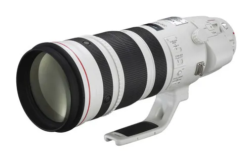 Canon EF 200-400mm f/4 L IS USM + Extender 1,4x